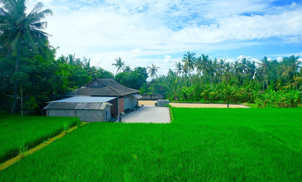 Wiki Bali Hotel Ubud  Exterior photo
